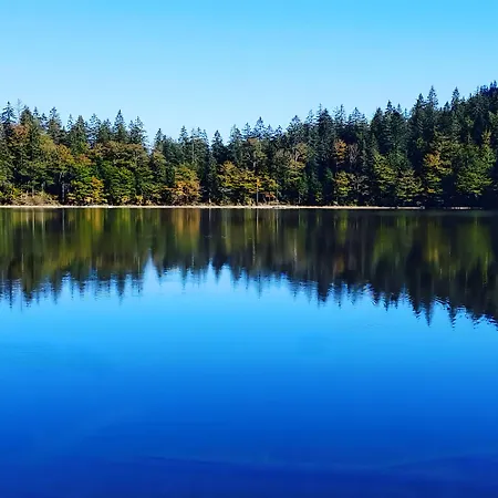 Apartamento Haus Fabienne *